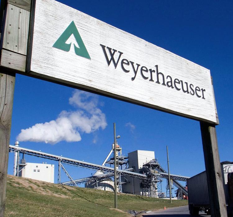 Weyerhaeuser